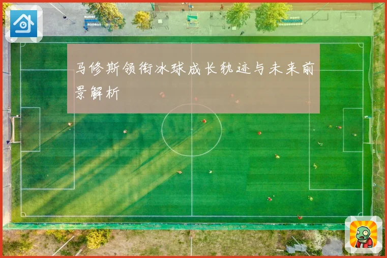 马修斯领衔冰球成长轨迹与未来前景解析