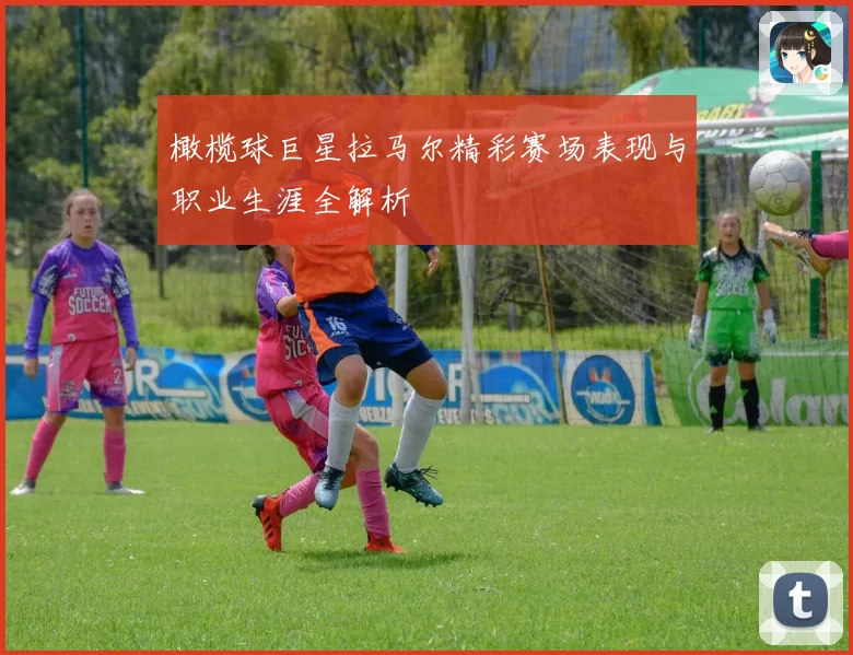 橄榄球巨星拉马尔精彩赛场表现与职业生涯全解析