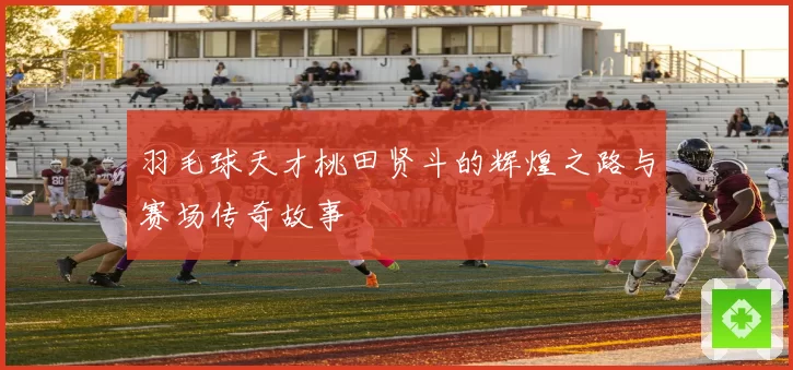 羽毛球天才桃田贤斗的辉煌之路与赛场传奇故事